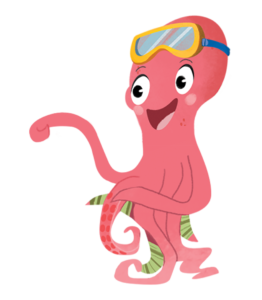 Pulpi 4
