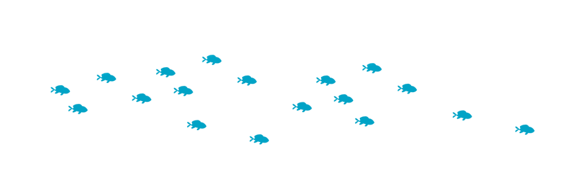 banco de peces